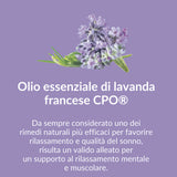 COMBATTI ANSIA E DISTURBI DEL SONNO IN MODO NATURALE CON ELASIR!